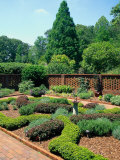 Buy Atlanta Botanical Gardens, Atlanta, GA at AllPosters.com