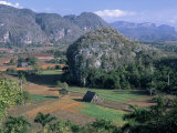 Buy Tobacco Fields, Valle De Vinales, Cuba at AllPosters.com