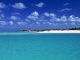 Tropical Scenic, Turks and Caicos Islands