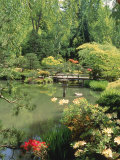 Buy Japanese Garden, WAshington Park Arboretum, WA at AllPosters.com
