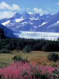 Buy Mendenhall Glacier, Tongass NF, AK at AllPosters.com