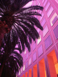 Buy Commercial Facade with Palm Trees at AllPosters.com