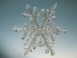 Buy Snowflake, Close Up at AllPosters.com