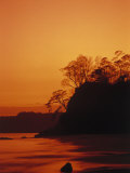 Pacific Coast Rain Forest at Dusk, Costa Rica