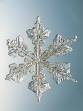 Buy Snowflake, Close Up at AllPosters.com