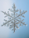 Buy Snowflake, Close Up at AllPosters.com