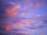 Buy Pink Clouds at Sunset at AllPosters.com