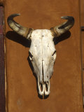 Skull, Santa Fe, NM