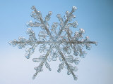 Buy Snowflake, Close Up at AllPosters.com