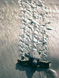 Buy Sea Turtle, Costa Rica at AllPosters.com