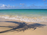 Buy Palm Tree Shadow on Beach, Lani Kai, HI at AllPosters.com