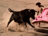 Bullfight Action, Mexico City, Mexico