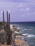 Buy Bonaire, Caribbean at AllPosters.com