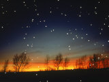 Buy Silhouetted Landscape Below Star-Filled Sky at AllPosters.com