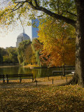 Public Gardens in the Fall, Boston, MA