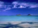 Buy Shadow of Palm Trees on Lanikai Beach, Oahu, HI at AllPosters.com