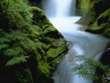 Buy Christine Falls, Mt. Rainier National Park, WA at AllPosters.com