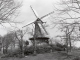 Buy Windmill in Park, Alkmaar, Netherlands at AllPosters.com