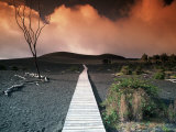 Devastation Trail, HI
