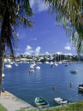 Boat in Harbor, Hamilton, Bermuda