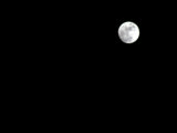 Buy Full Moon in the Night Sky at AllPosters.com