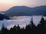 Buy Fog, Hurricane Ridge, Olympic National Park, WA at AllPosters.com