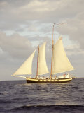 Buy Tall Ship Sailing Near Amelia Island, FL at AllPosters.com