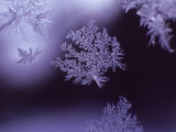 Snowflakes on Window