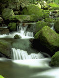 Buy Stream, Great Smoky Mountain National Park, TN at AllPosters.com