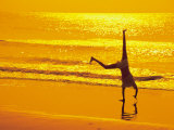 Buy Girl Doing Cartwheels on Beach at Sunset at AllPosters.com