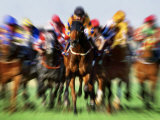 Horse Race in Motion