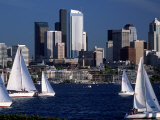Sailboats and Skyline, Lake Union, Seattle, WA