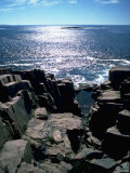 Buy Otter Cliffs, Acadia National Park, ME at AllPosters.com