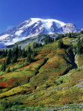 Buy Mt. Rainier National Park, Washington at AllPosters.com