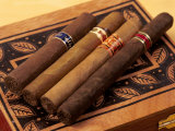 Buy Premium Hand Rolled Cigars on Box at AllPosters.com