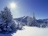 Sunlight on Fresh Snow, Wasatch Mt. Range, UT Photographic Print