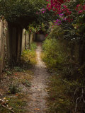 Buy Path to Secluded Beach, Sanibel Island at AllPosters.com