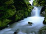 Buy Christine Falls, Mt. Rainier National Park, WA at AllPosters.com