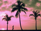 Silhouette of a Runner and Palm Trees Photographic Print