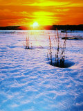 Buy Catskills, Ny, Snow Sunset at AllPosters.com