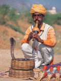 Buy Snake Charmer, India at AllPosters.com