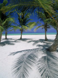 Buy Playa Juanillo, Dominican Republic at AllPosters.com