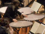 Orchestra Timpanist