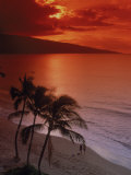 Aerial of Tropical Beach at Sunset, Maui, HI