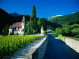 Vineyards and Chateau, Montreux, Switzerland