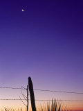 Buy Fence, Sunrise and Moon, Texas at AllPosters.com