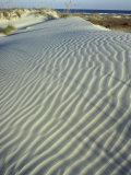 Dunes, Cumberland Island National Seashore
