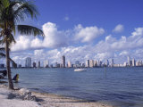 Miami Skyline, FL
