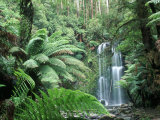 Buy Triplet Falls, Victoria, Australia at AllPosters.com