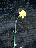Buy Vietnam War Memorial, Washington DC at AllPosters.com